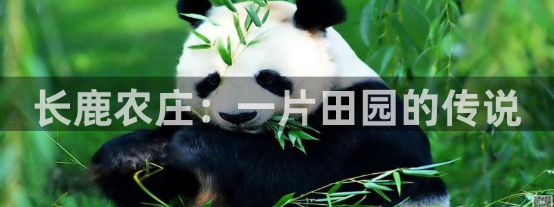 摩根娱乐_ c招a商77130