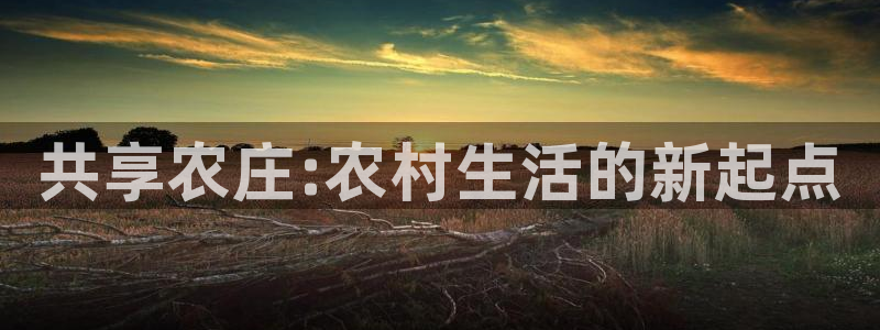 摩根娱乐50186夂