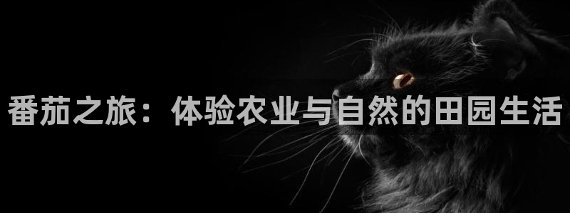 义乌摩根娱乐会所邮箱