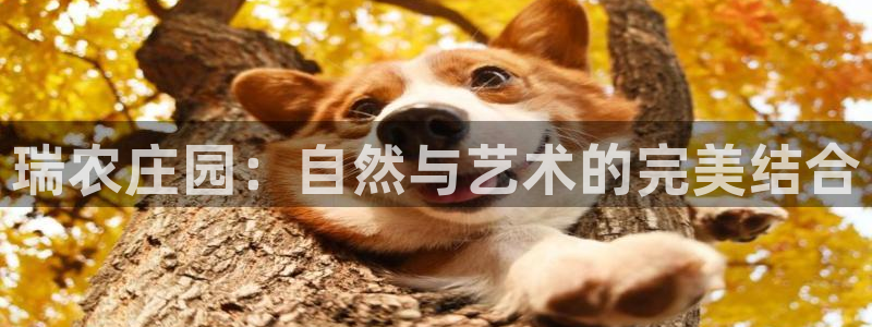 义乌摩根娱乐会所小费