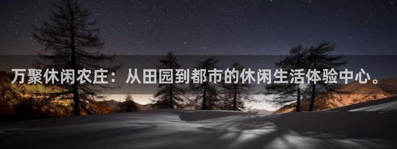 泉州摩根会娱乐会所地址