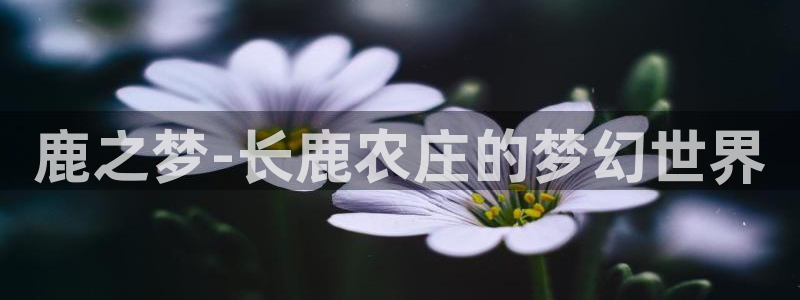 摩根娱乐宝骗了我