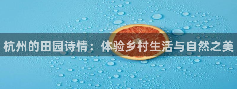 重生娱乐人生莉莉丝摩根