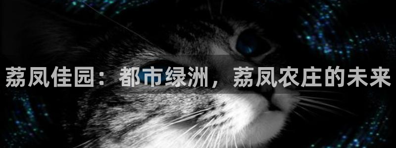 摩根娱乐宝在哪里登录