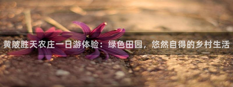 摩根国际商务娱乐会所