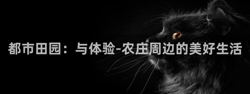 摩根娱乐挂机项目