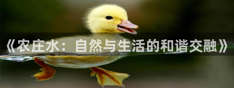 泉州摩根会娱乐有限责任公司管理