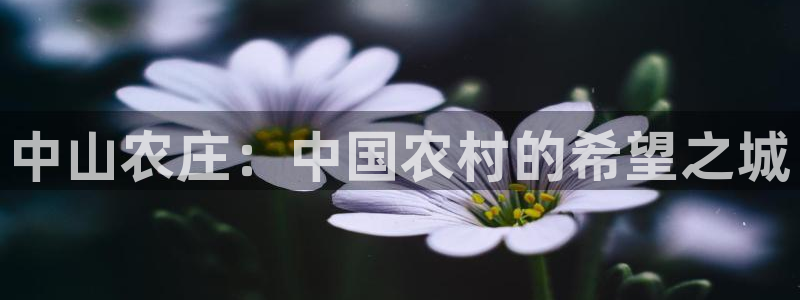 义乌市摩根娱乐厅