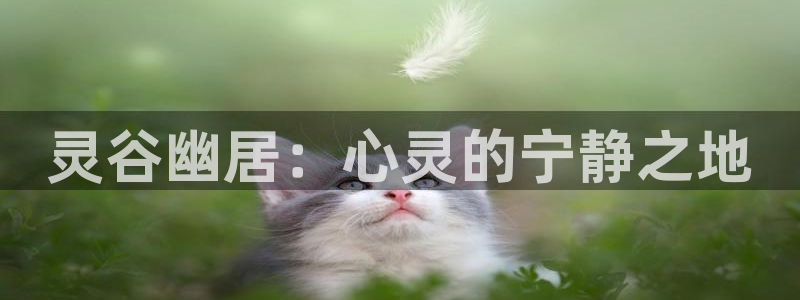 摩根克里克娱乐公司