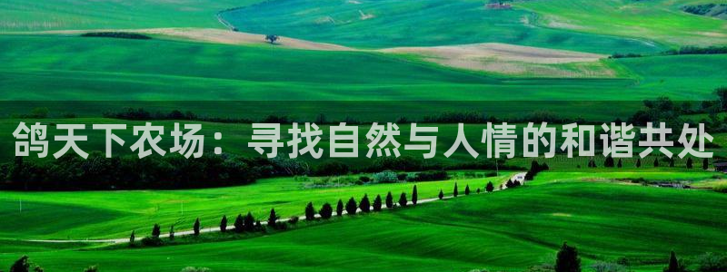 摩根娱乐是骗局吗?