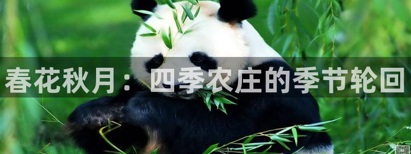 摩根100娱乐会所