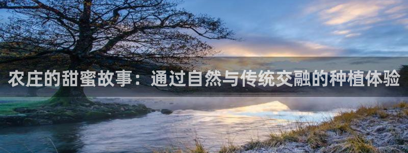 摩根娱乐宝骗了多少人