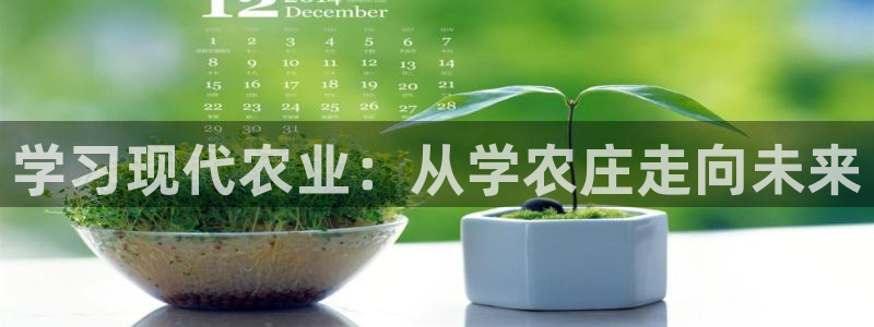 摩根娱乐宝进不去