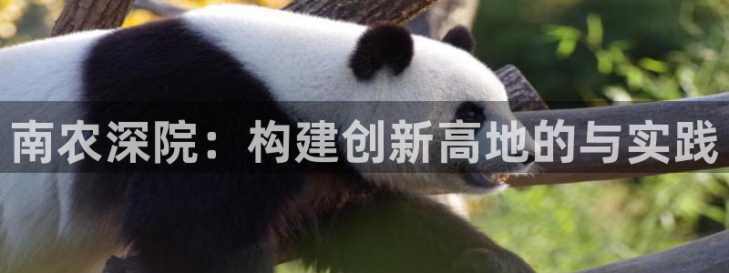 义乌摩根娱乐会所