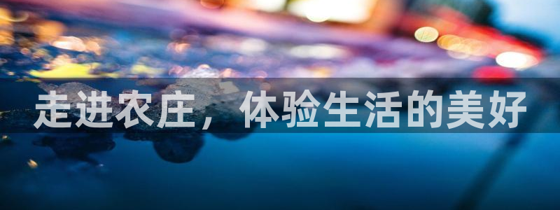 摩根娱乐宝总部招商