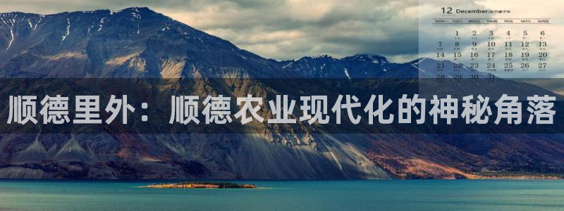 摩根娱乐宝微交易