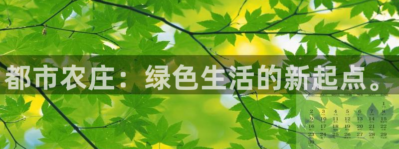 义务摩根娱乐会所电话