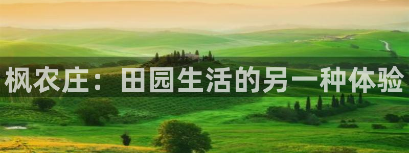 摩根娱乐L老L板50820