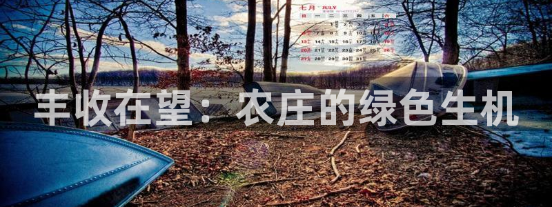 摩根娱乐1老H板50820