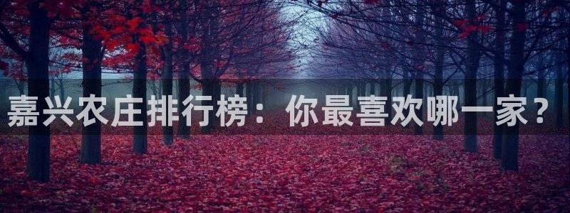 主角是摩根家族的娱乐文