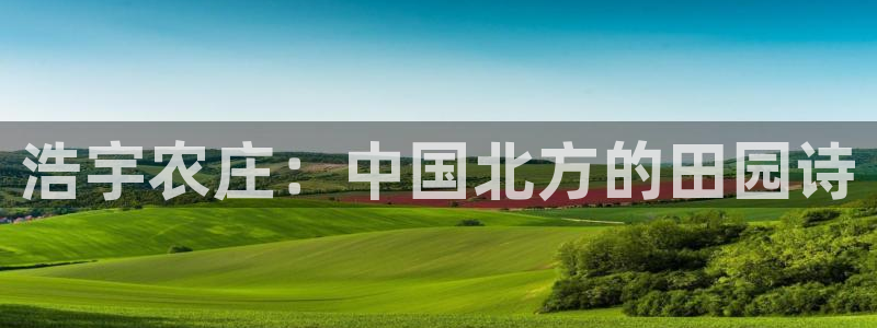 摩根娱乐和摩根国际