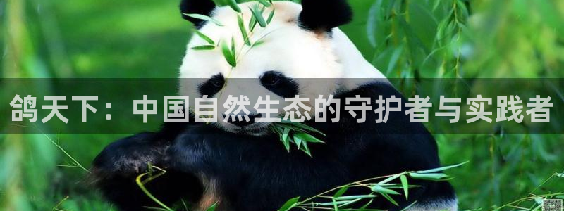 义乌摩根娱乐会所地址