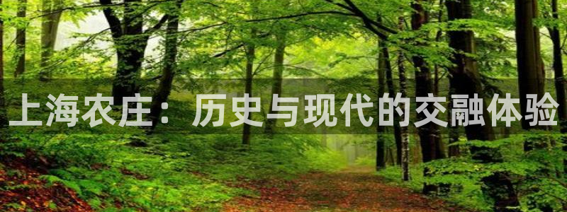 摩根娱乐注册m总管