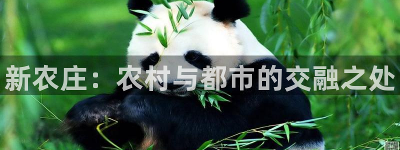 摩根空间附近休闲娱乐