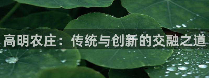 泉州摩根会娱乐有限公司