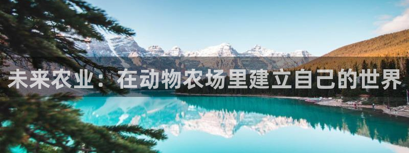 摩根国际娱乐