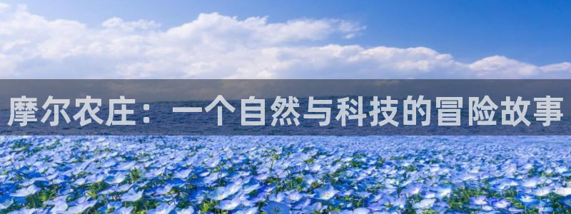 摩根娱乐老lb板50820