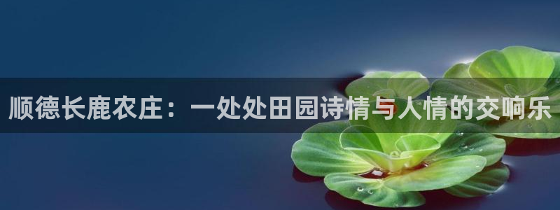 摩根娱乐50186联系