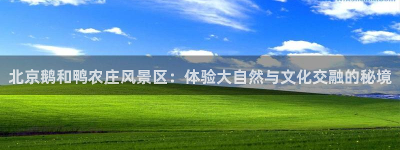 厦门摩根会娱乐