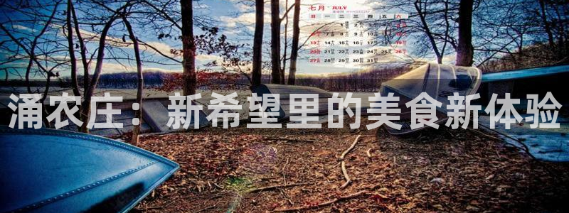 摩根娱乐开户总s管50015 18