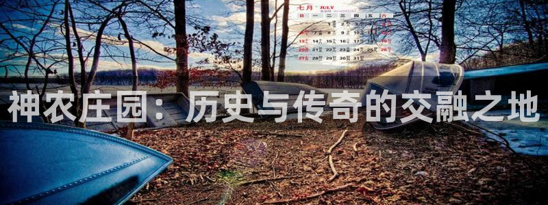 武汉摩根众睿娱乐