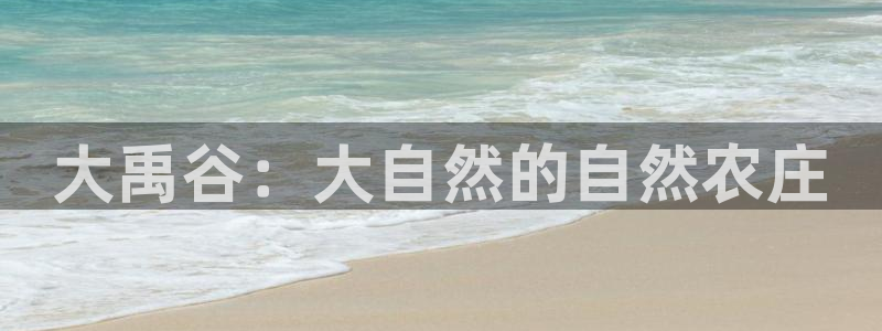 摩根娱乐创始人