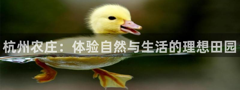 摩根娱乐宝是什么