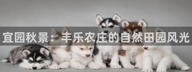 摩根国际娱乐宝进不去