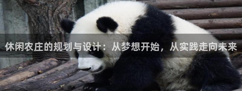 摩根娱乐注册账号