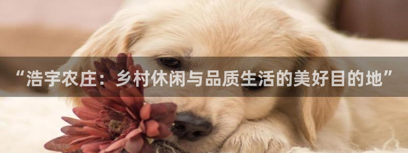 摩根娱乐黑别人网站