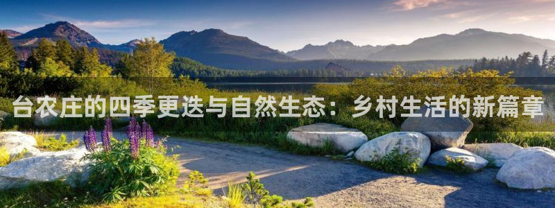 摩根国际娱乐宝进不去