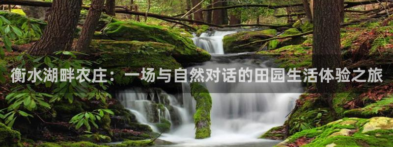 南阳市摩根娱乐
