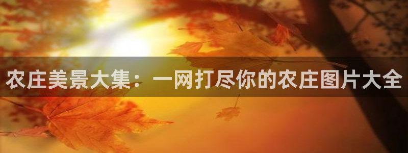 华视娱乐 摩根 王琛