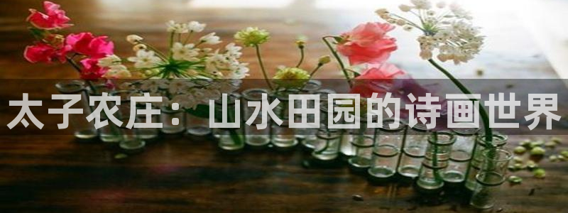 摩根娱乐宝是骗局
