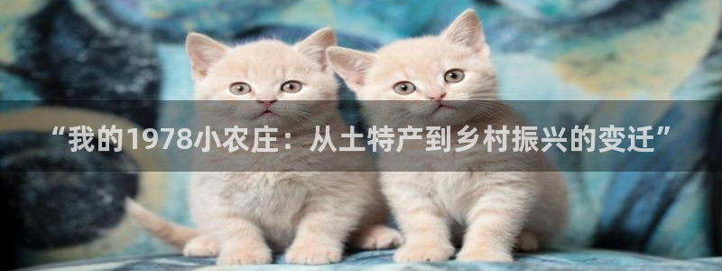 杭州市摩根国际娱乐会所
