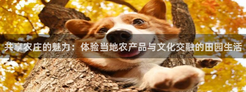 摩根大通会员买金沙娱乐