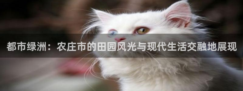 摩根娱乐宝正规吗