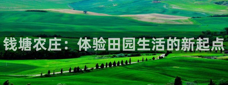 摩根娱乐云挂机项目怎么下载